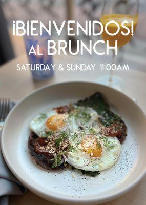 New Brunch!  - Starts this Sat 11-3pm  And Sunday 11-4