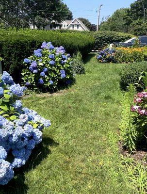 It's hard to enjoy the yard when it's so overgrown.