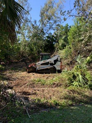 Lot clearing