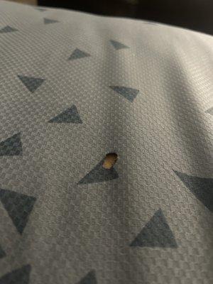 Cigarette burnt sheets in my NON-smoking room.