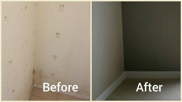 Drywall repairs and all painting