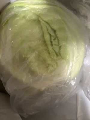 Funny looking of lettuce