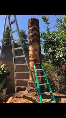 Progress on Tiki carving for client. Call 559-750-8729 today if you're interested in a custom chainsaw carving for your yard!