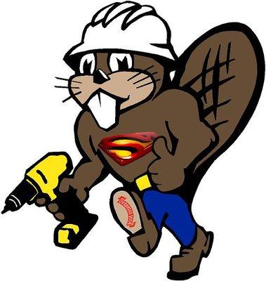 Super Beaver , Stomps The Competition.