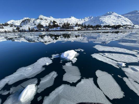 Blackstone Glacier cruise March 6, 2024.