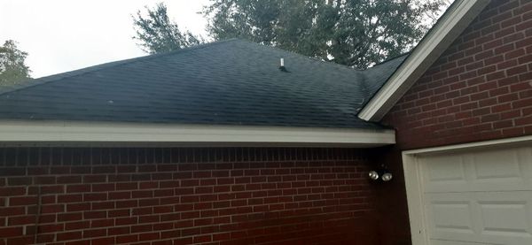 A pic of black algae on roof which destroys roof over time