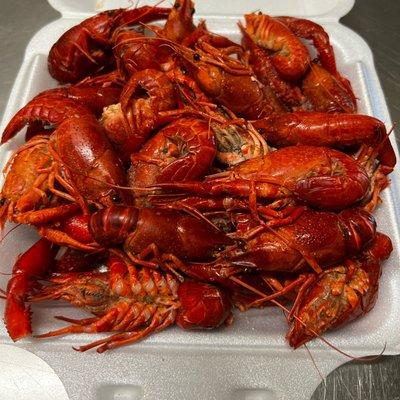 Crawfish