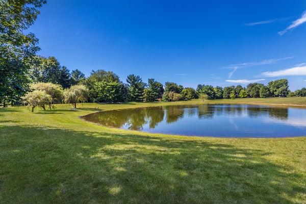 Relaxing pond at Chelsea Village