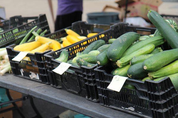 Purple Pepper Farms - All natural and locally grown in Wyoming County!  Hydroponic and traditional produce.