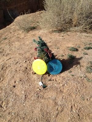 Merry disc golf Christmas!!!