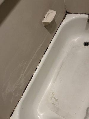 Mold on edges of tub