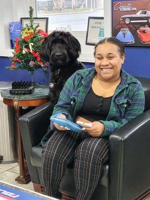 Beau loves to meet and sit with customers.