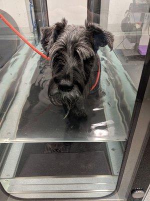 Underwater treadmill