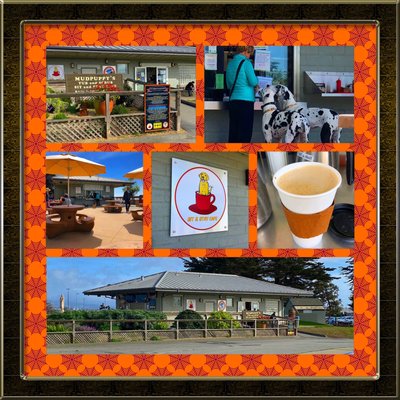 Montage of images from the Sit & Stay Cafe