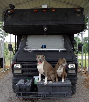 Inside the Entrance Gate - Team Watching Over our Customers.