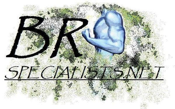 BR Specialists Logo