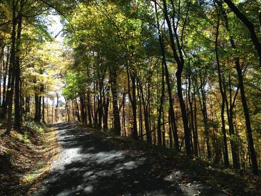 The healing energy of nature. Here at one of our facilities in Tennessee, we take walks through beautiful forrest trails.