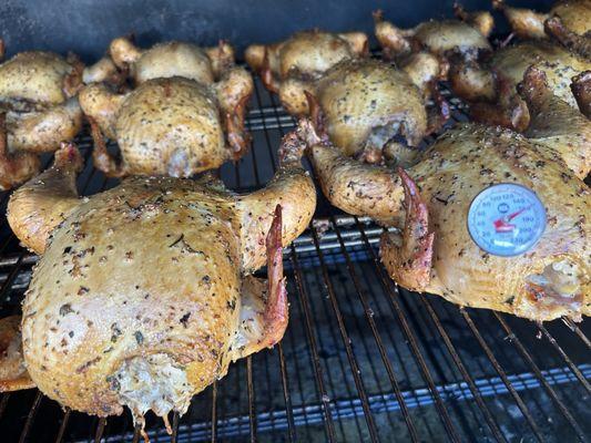 Rosie and Rocky in the smoker