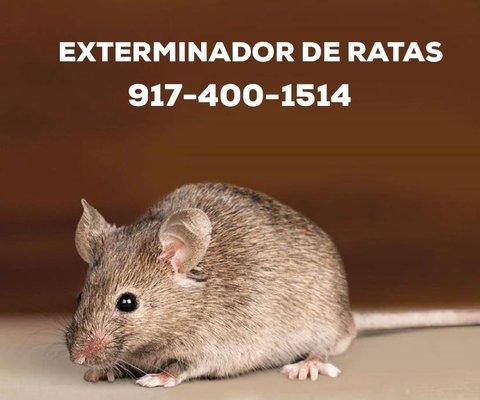 Exterminador de ratas