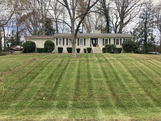 Hedge trimming and a nice mow done today