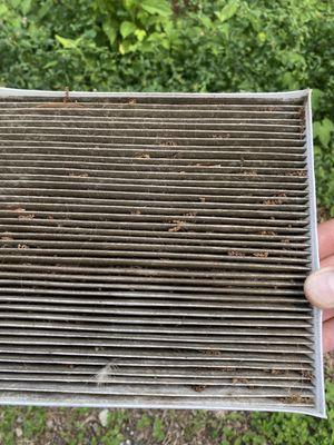 How Murray dealership allows cars to be sold with disgusting air filters.