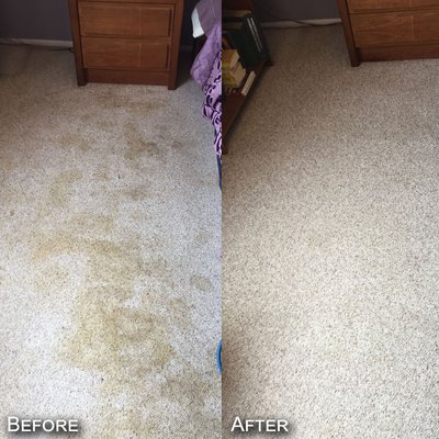 Brielle's Rug Cleaning NYC - Carpet Cleaning before & after