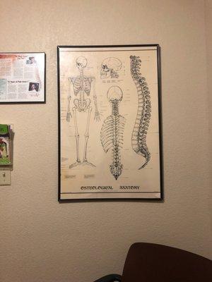 Turner Chiropractic