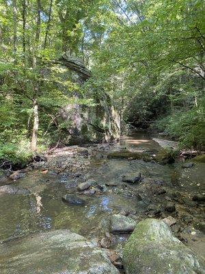 Chestnut Ridge Heritage Preserve