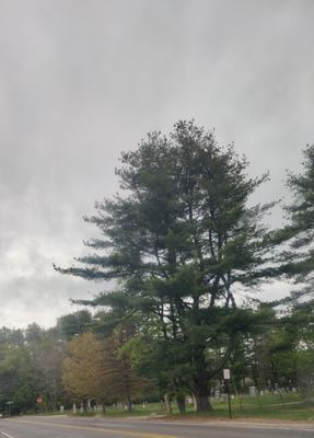 Farris Cemetery, Cumberland, Maine