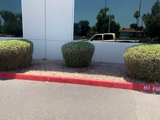 Desert Valley Lawn and Maintenance