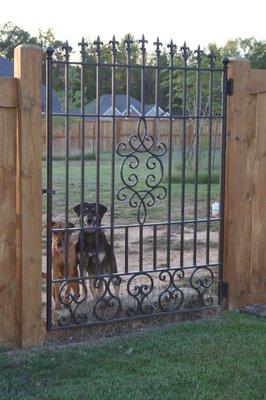 Ornamental Steel Gate with dogs