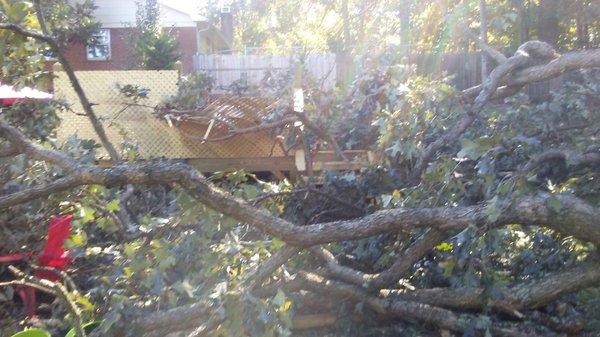 Tree fell on new deck during hurricane