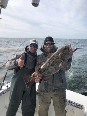 Gag grouper for the dinner table.