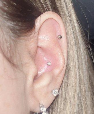 Conch piercing by Damien