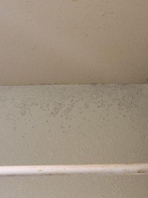 Mold bathroom ceiling