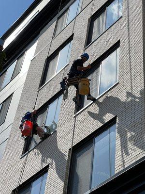 Starbrite Window Cleaning