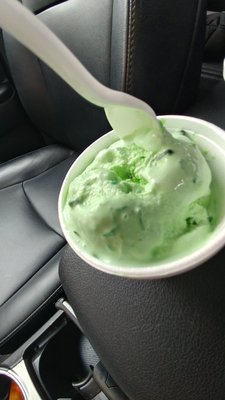 Pistachio ice cream - I love pistachio ice cream but not this one. Has glazed fruit, coconut bits, and pistachio. Yuck