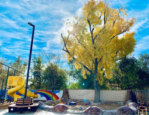 Rear-yard playground