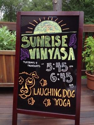 Join Cory for Sunrise Vinyasa classes  at Laughing Dog Yoga in Wellesley.