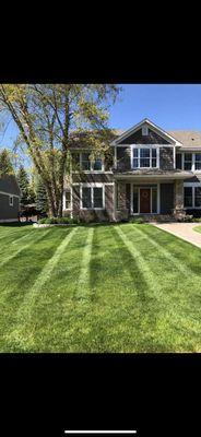 Beautiful Green Lawn