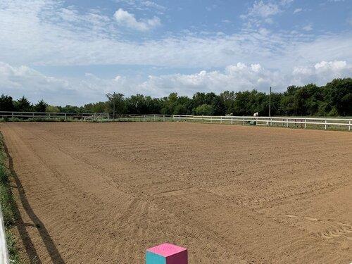 We have a 100'x200' outdoor arena with lights, jumps, and barrels!