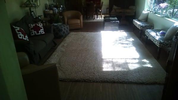 Big fluffy white rug!