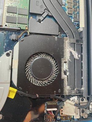 Laptop repair, customer stated fan was making a noise..