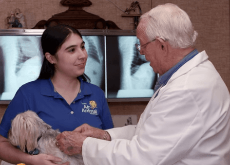 Dr. Woolf examining a pet for an international health certificate.