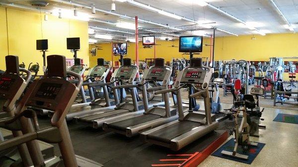 Cardio - Treadmills, Bikes, Rower, ARC Trainers, Steppers & Ellipticals.