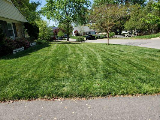 Lawn Doctor