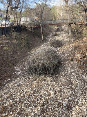 Brush and tree trimming job in central Texas