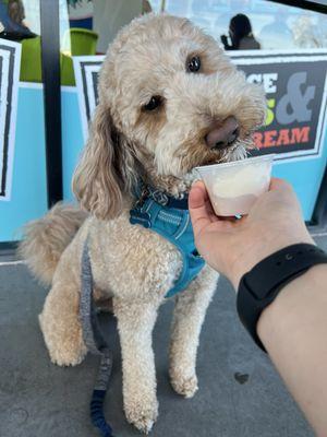 so sweet and kind, best employee la ever. the manager is nice and caring. the free samples leave you wanting a large ice!!