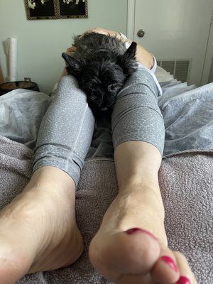 Cairn terrier assisted reflexology session