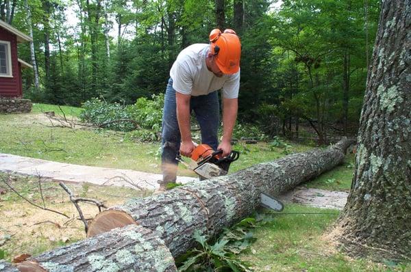 Petersen Tree Service